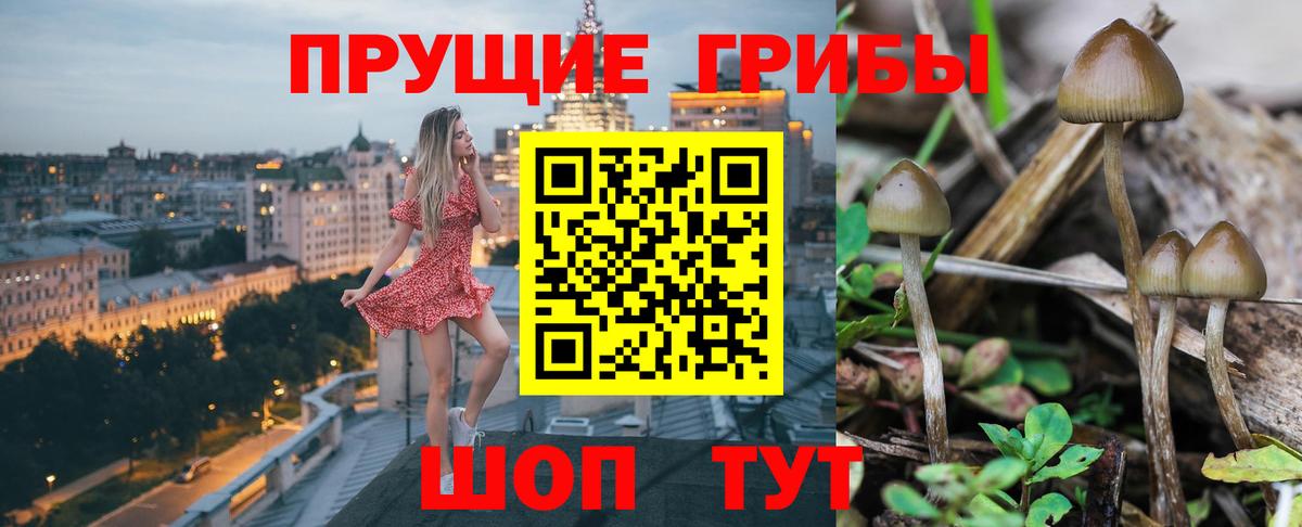 Галлюциногенные грибы GOLDEN TEACHER Людиново